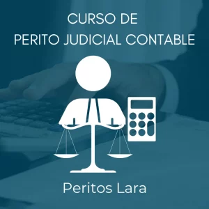 Curso de Perito Judicial Contable